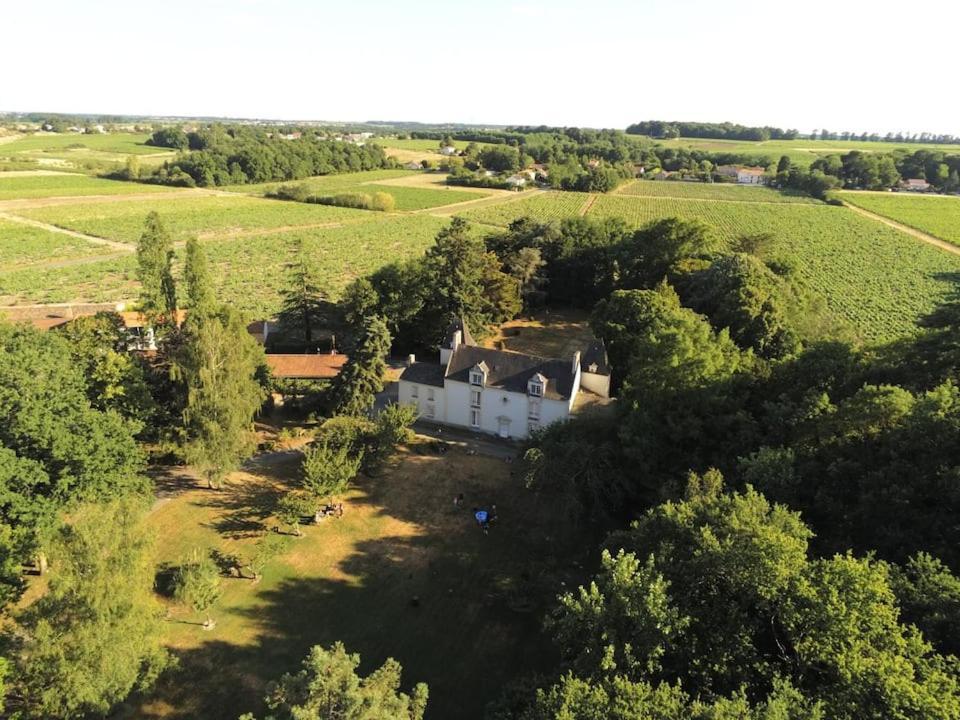 Du Vignoble A L'Atlantique - Chateau Cassemichere Gite La Chapelle-Heulin ภายนอก รูปภาพ